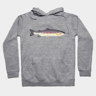 Mexican Golden Trout Hoodie